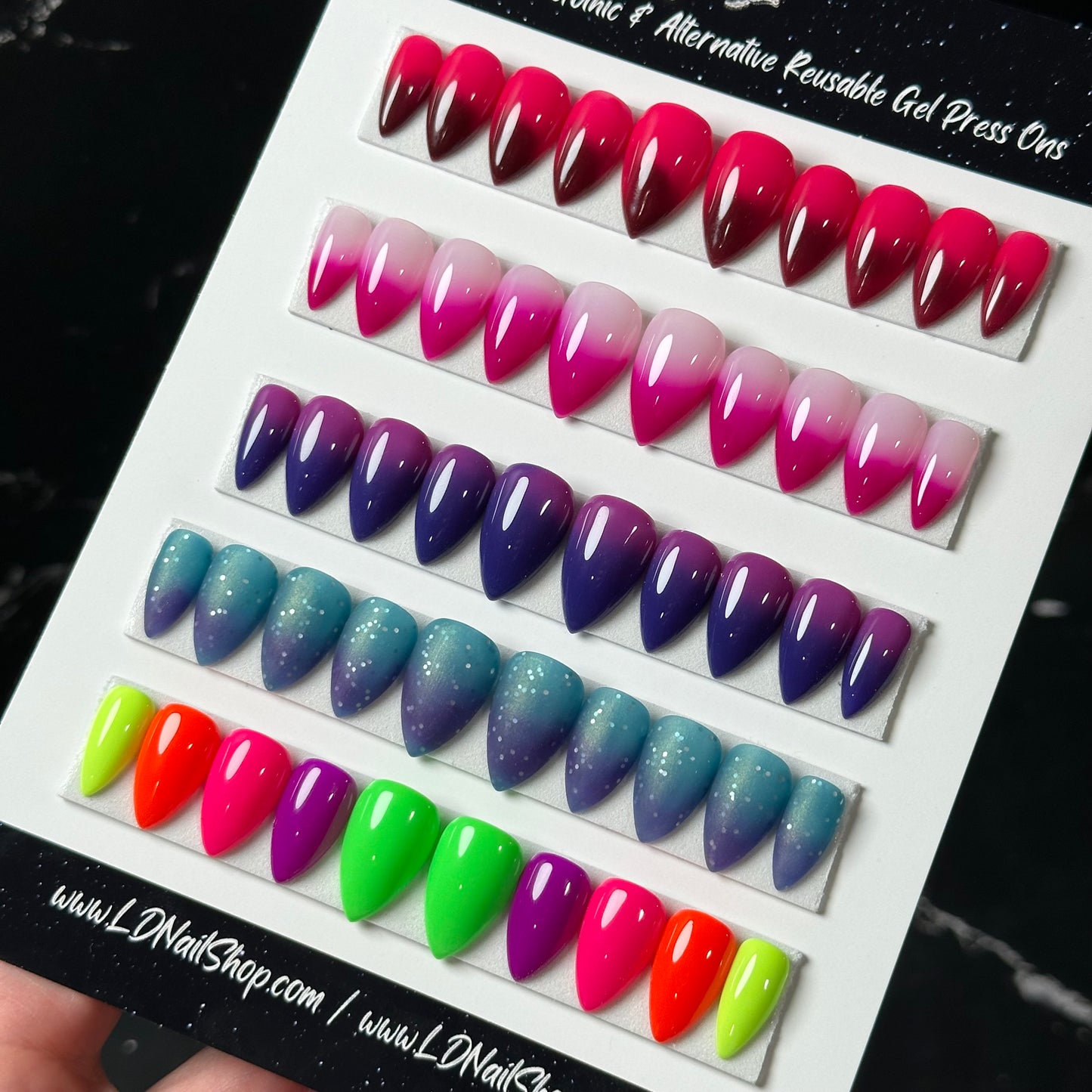 Basics Bundle