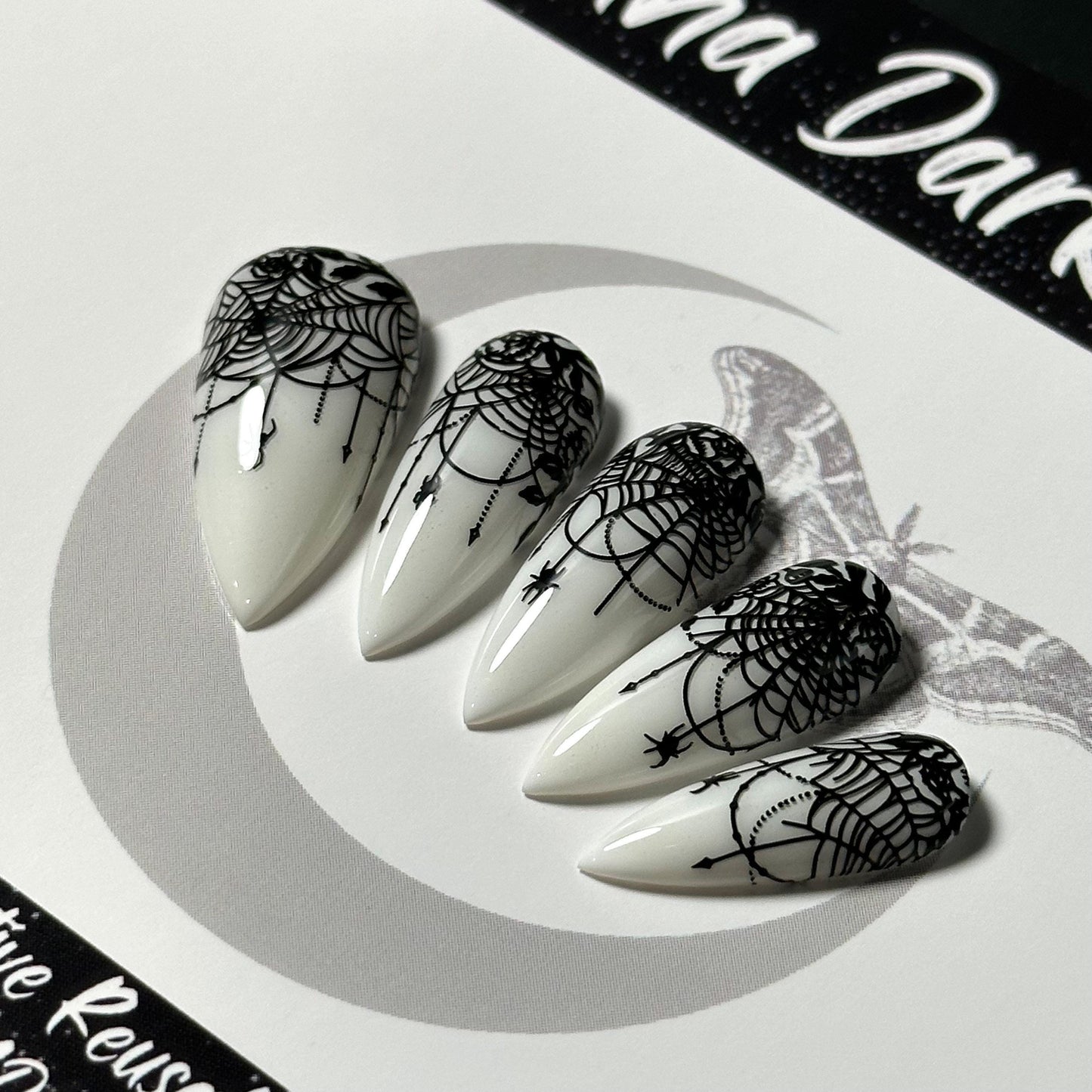 Lace-Web Chic