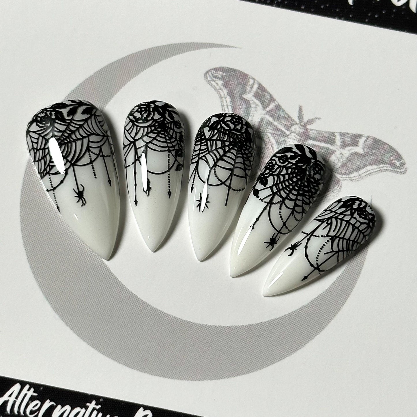 Lace-Web Chic