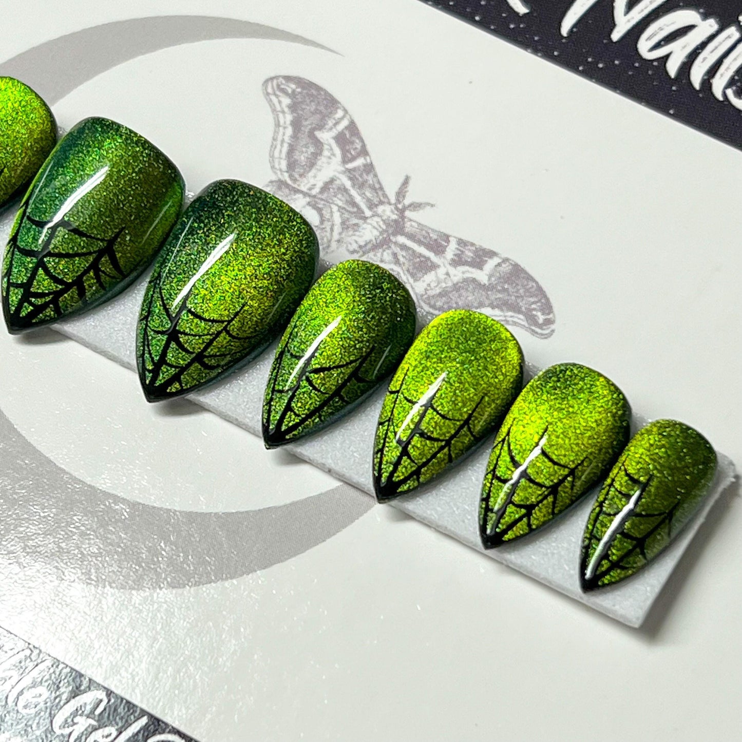 Wicked Webs