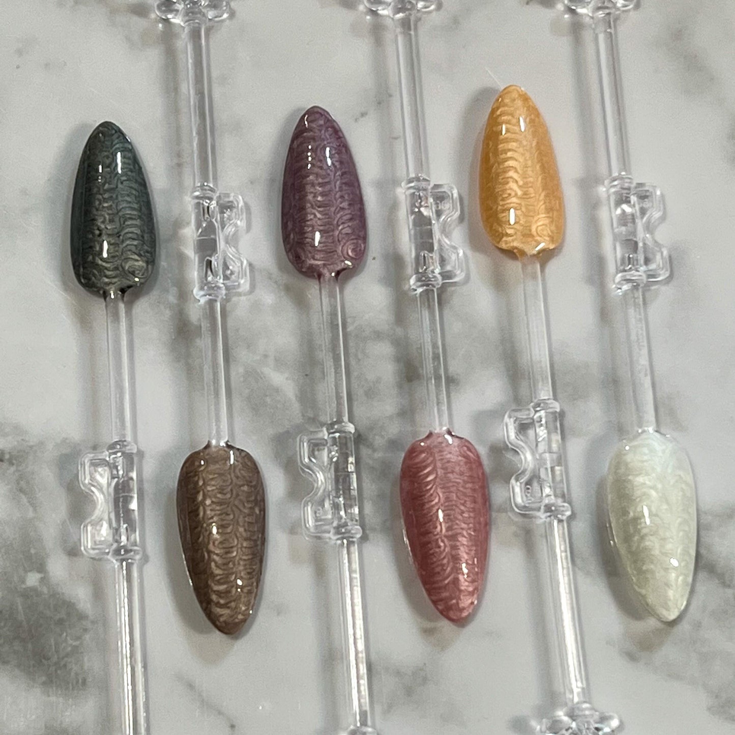 Shell Polish Collection