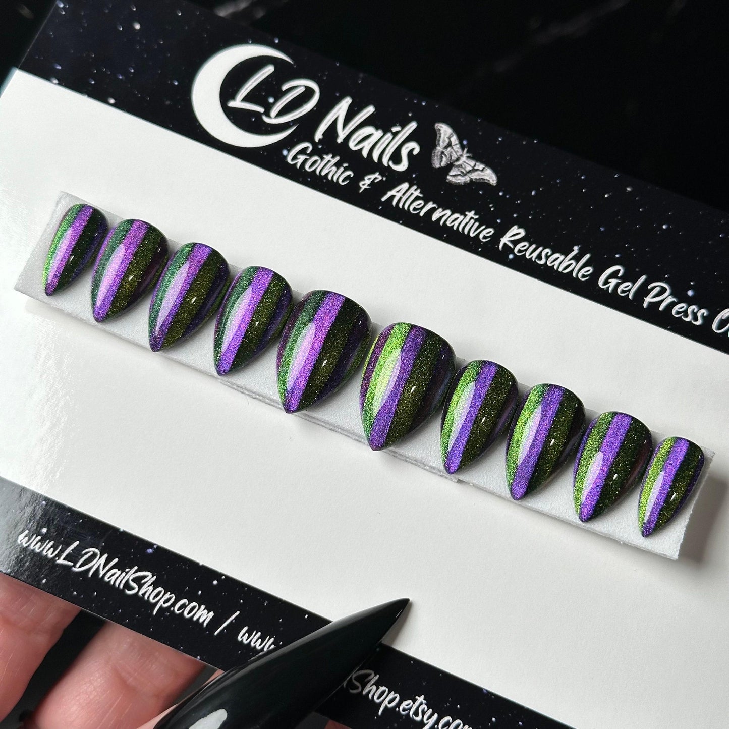 Beetle Cat Eye