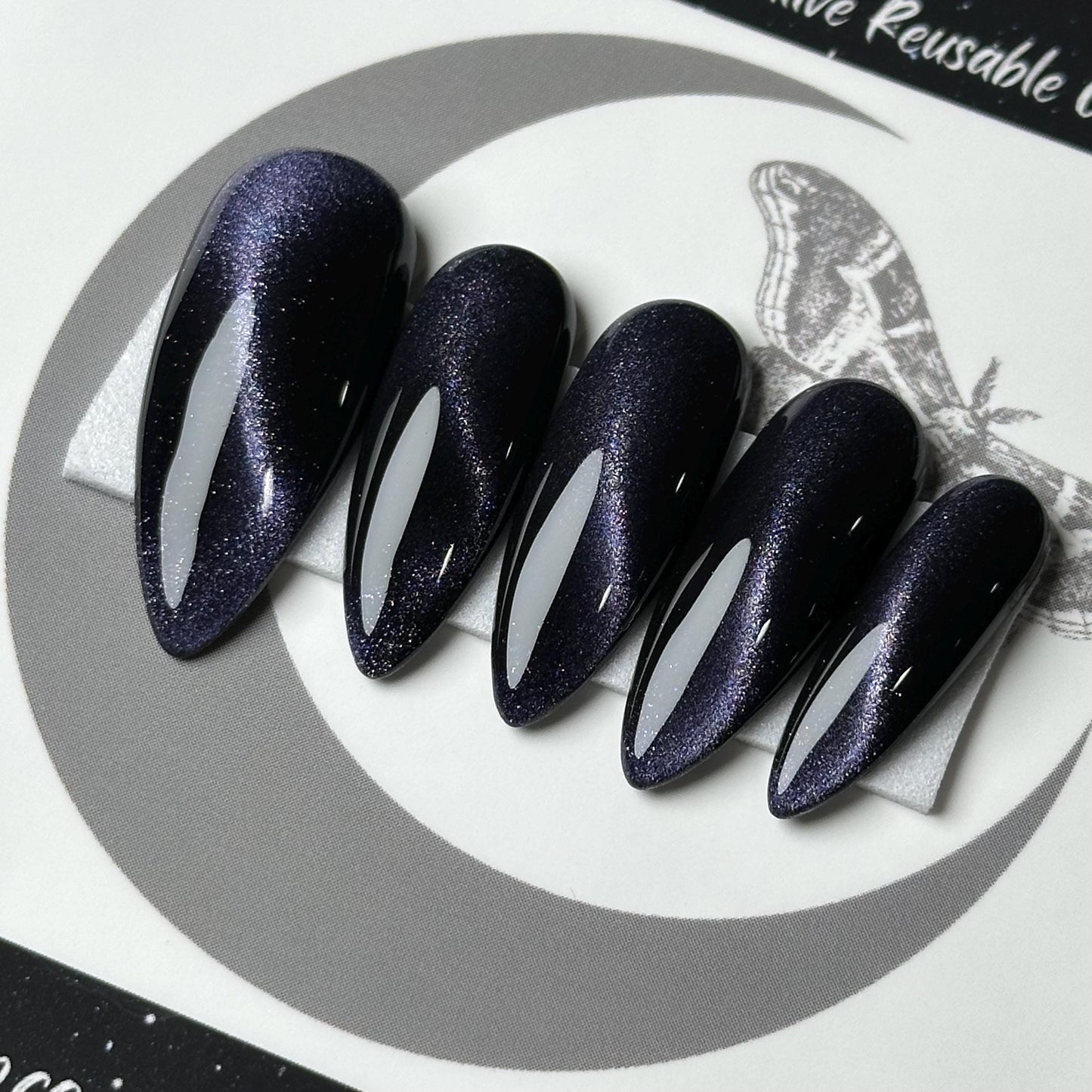 Midnight Cat Eye