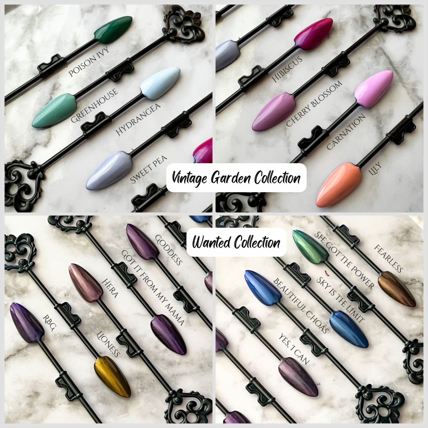 Basics Bundle