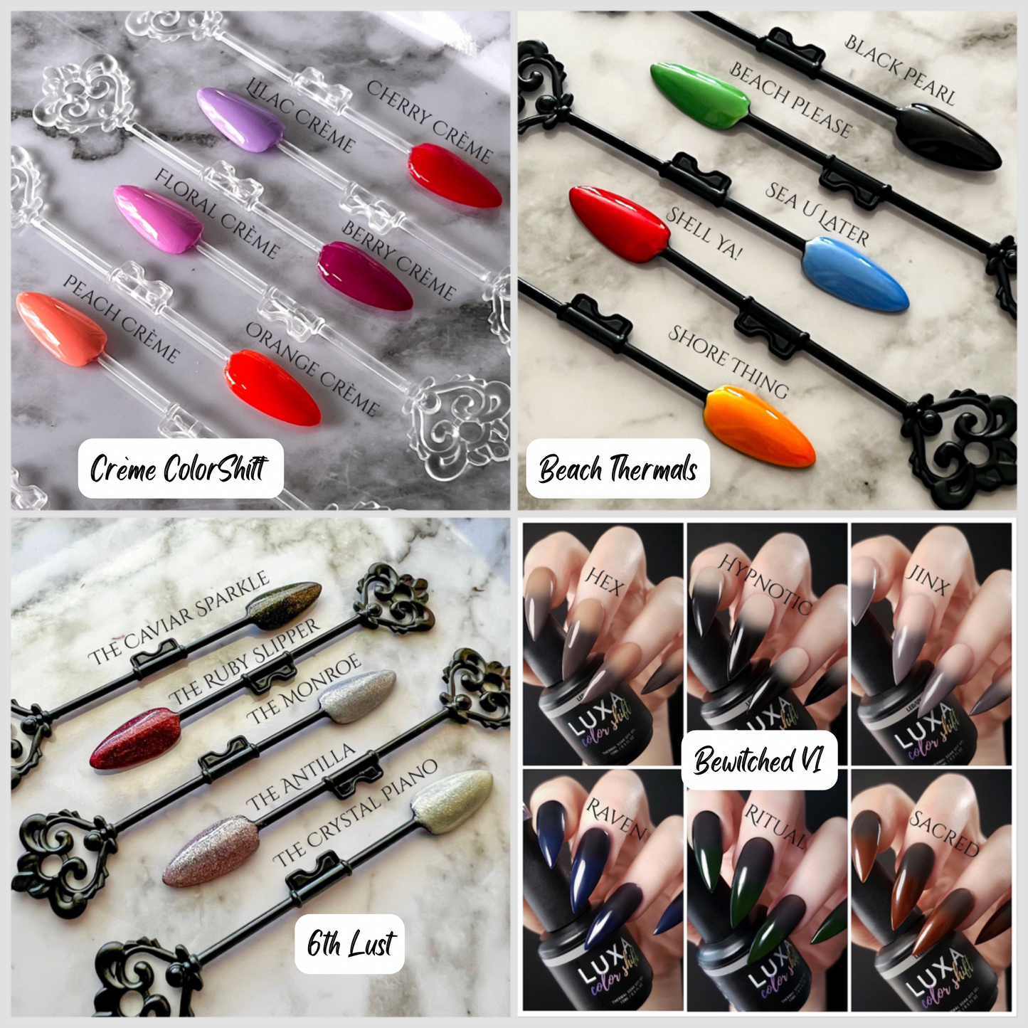 Basics Bundle