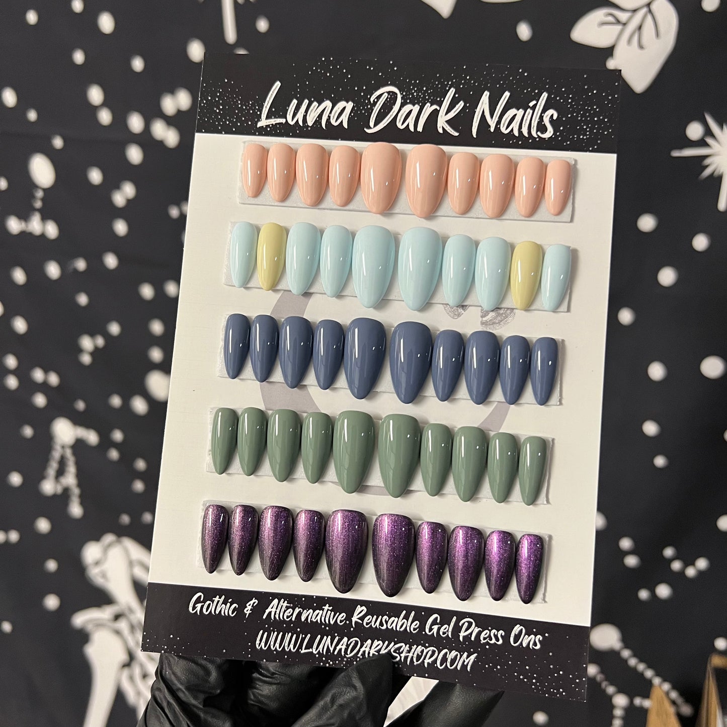 Basics Bundle