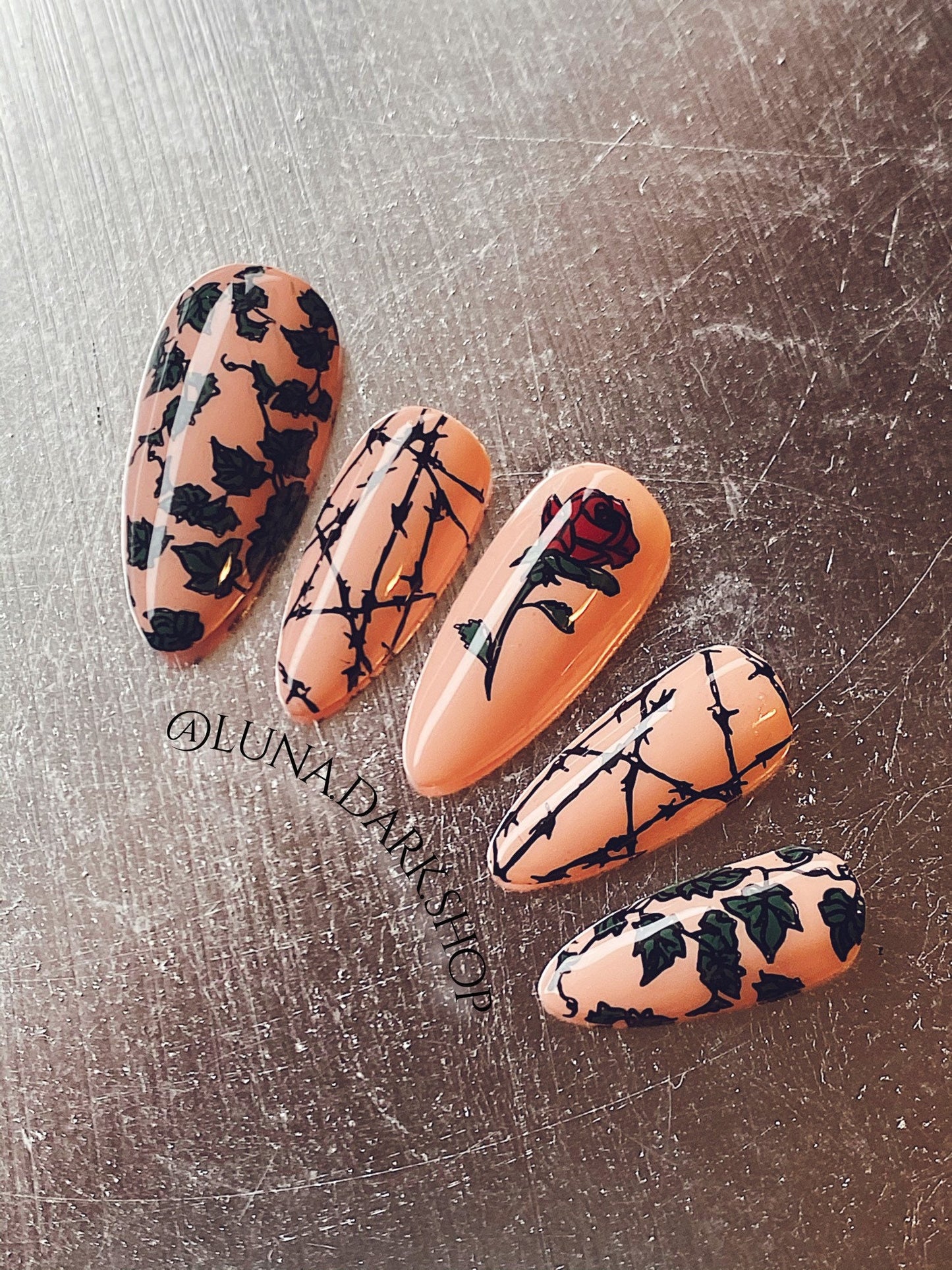 Rose Barb