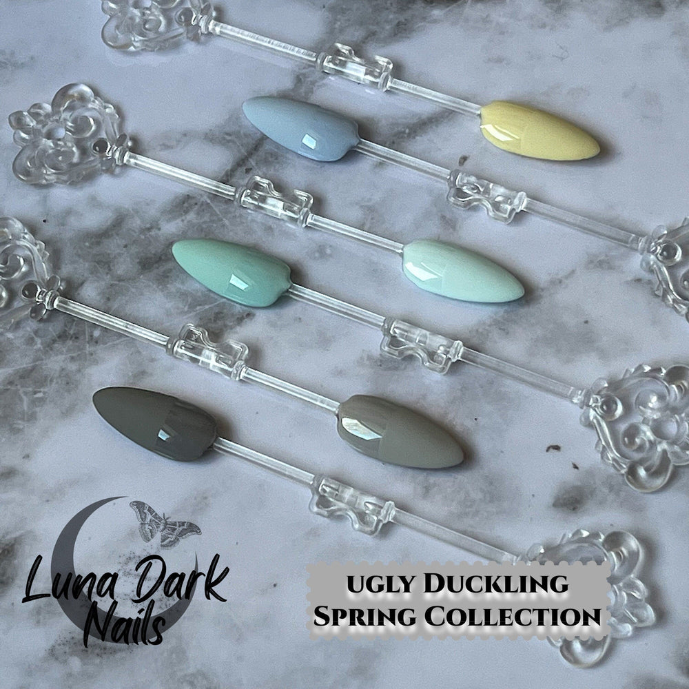 
                      
                        Ugly Duckling Spring Collection
                      
                    