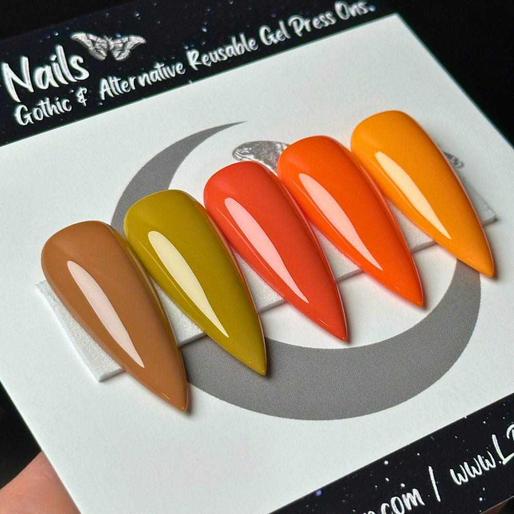 
                      
                        Pumpkin Spice Collection
                      
                    