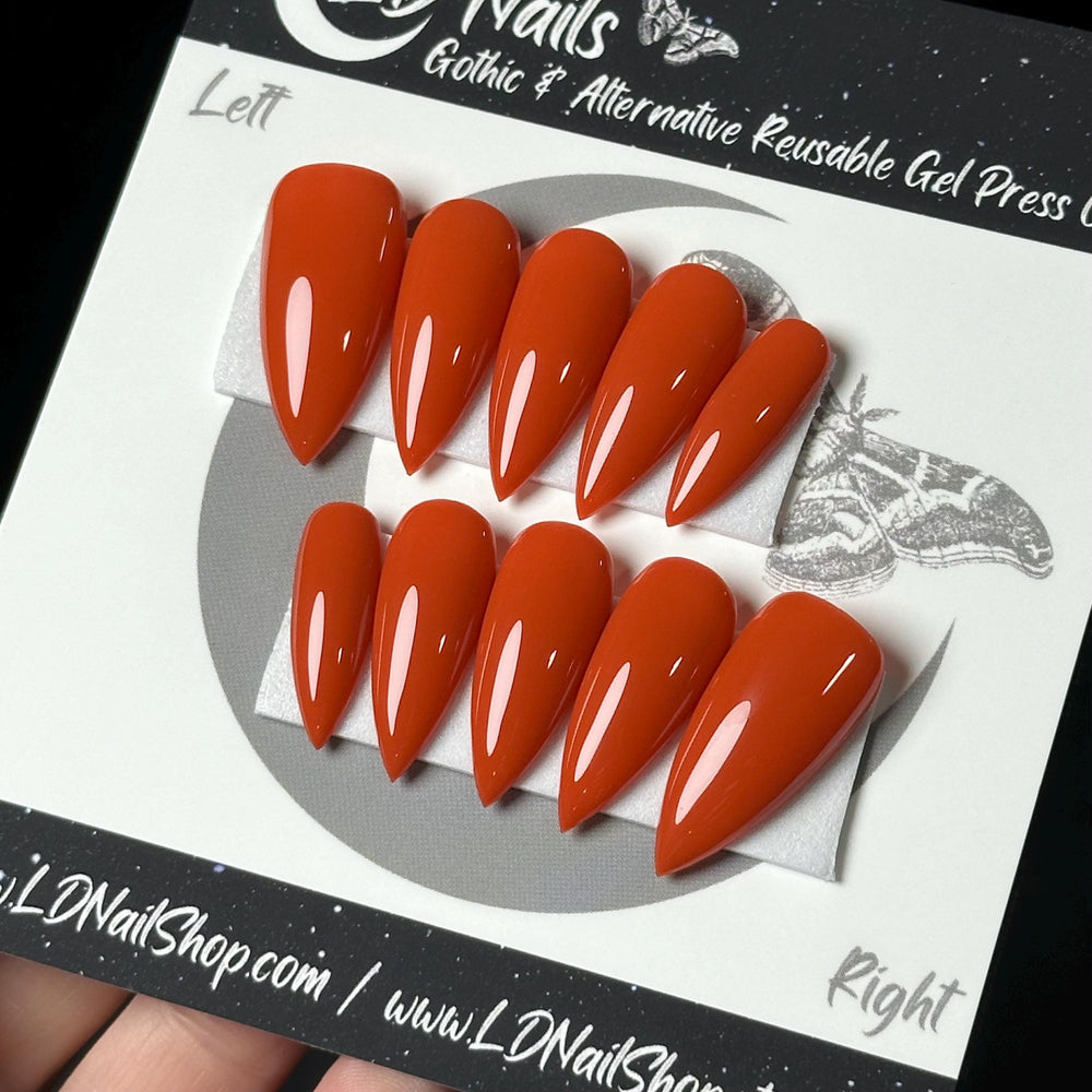 
                      
                        Burnt Orange Press On Nails, Fall Nails, Autumn Nails, Basic Nails, Witchy Nails, Gothic Nails, Minimalist Nails, Reusable False Nails
                      
                    