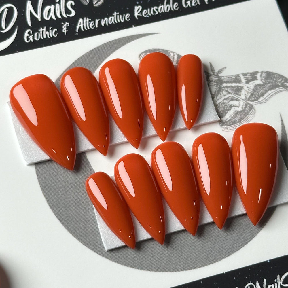 
                      
                        Burnt Orange Press On Nails, Fall Nails, Autumn Nails, Basic Nails, Witchy Nails, Gothic Nails, Minimalist Nails, Reusable False Nails
                      
                    