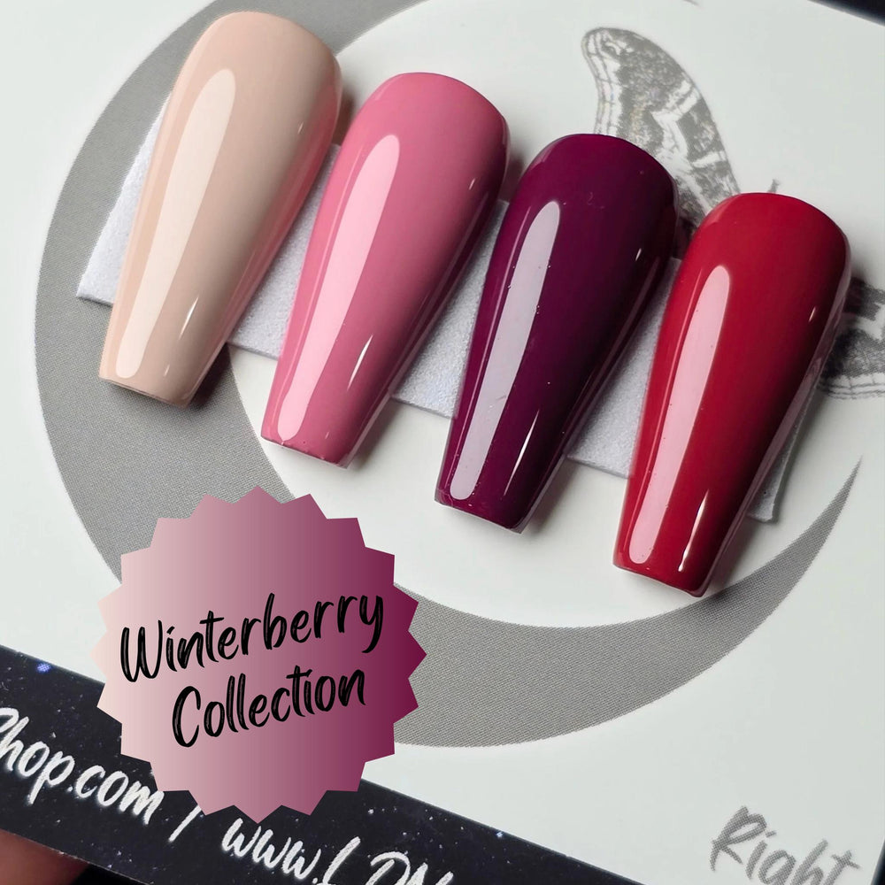 Winterberry Collection, Iced Berry Nude Press On Nails, Basic Winter Nails, Gothic Nails, Witchy Nails, Reusable False Nails