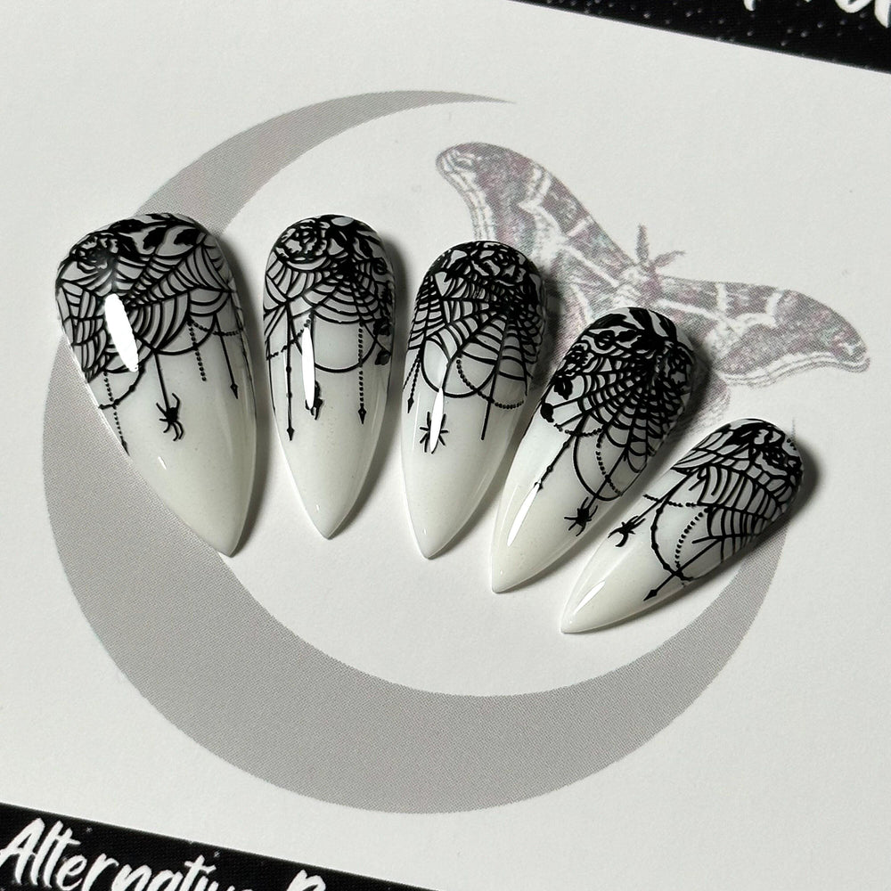 
                      
                        Lace-Web Chic
                      
                    
