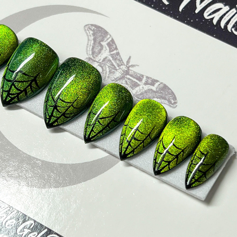 Wicked Webs