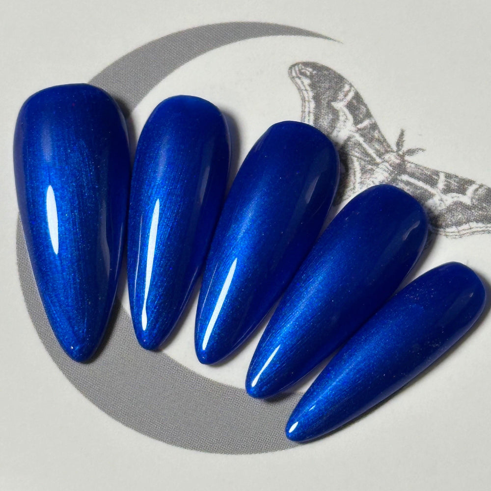 
                      
                        Electric Blue
                      
                    