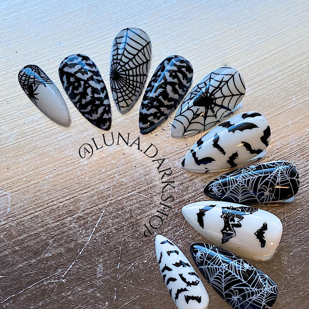 
                      
                        It’s spiders and bats!
                      
                    