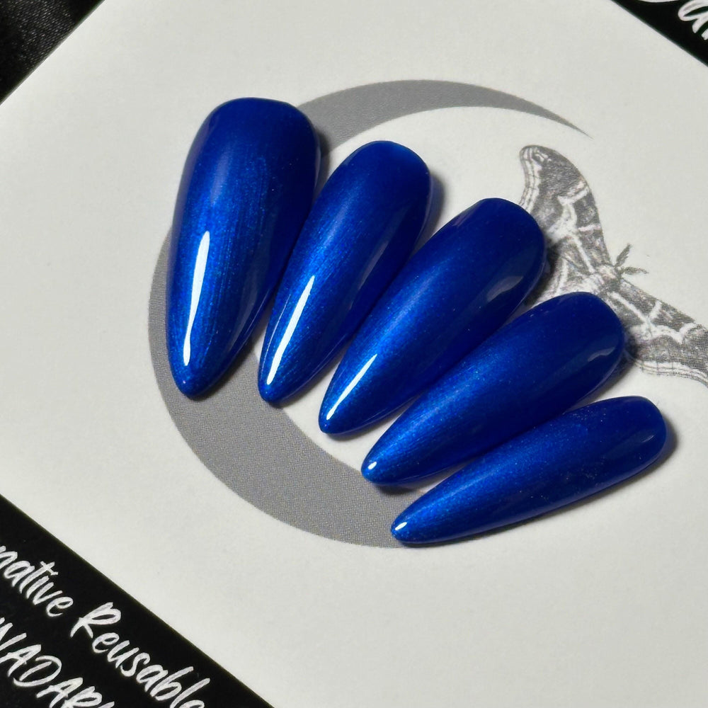 
                      
                        Electric Blue
                      
                    