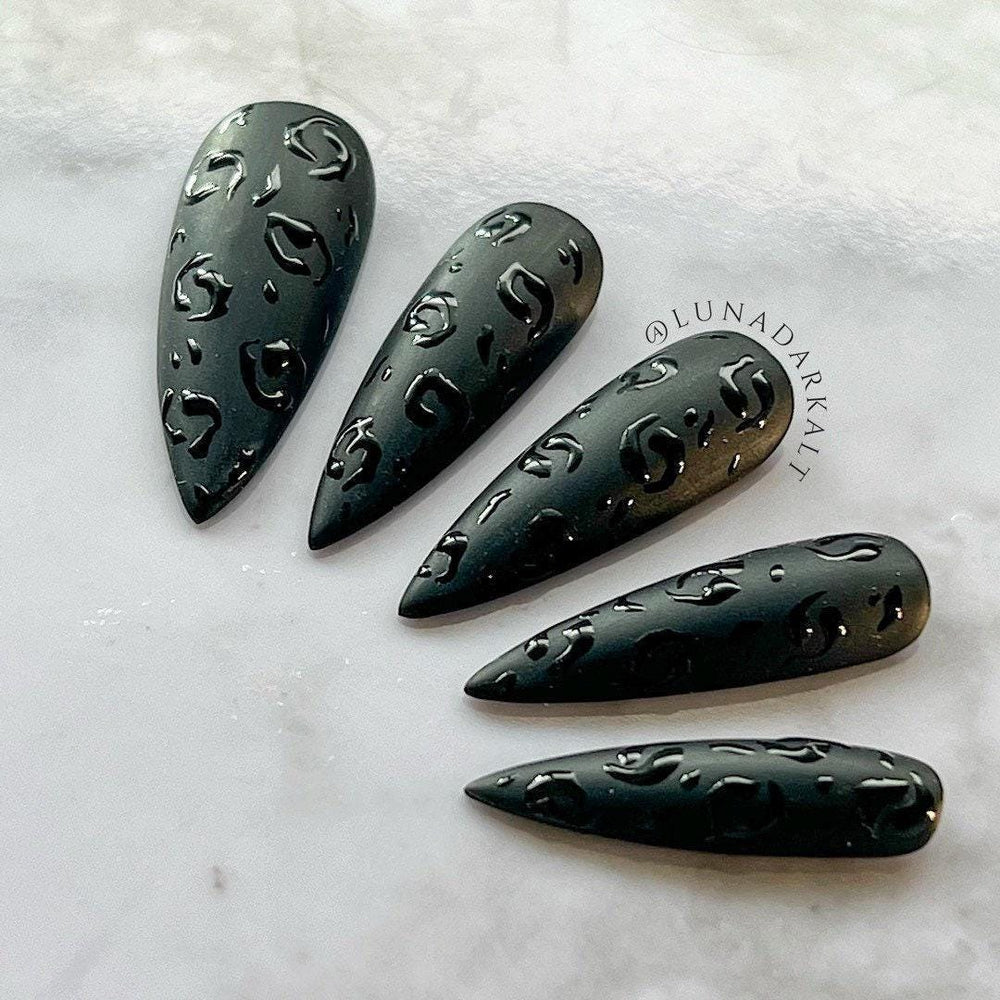 Black on Black: Leopard